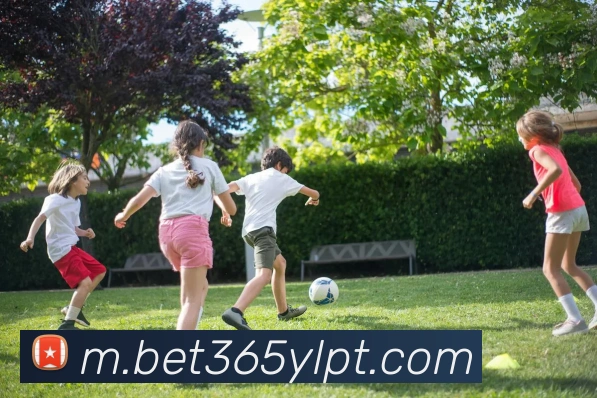 bet365中国官网APP 封面图